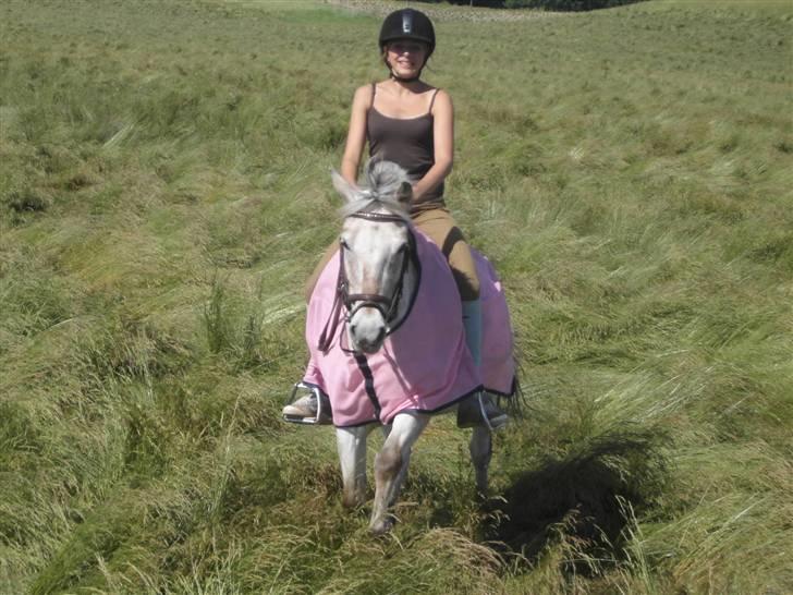 Anden særlig race Philippa SOLGT  -  i fuld galop på marken <3 d. 19/6-07   billede 17