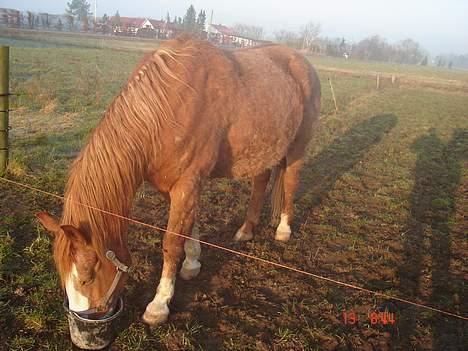 Frederiksborg Mads Ravnkilde billede 5