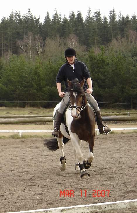 Pinto Athene - Elsker og komme ud og ride og stoler meget på min rytter... billede 10