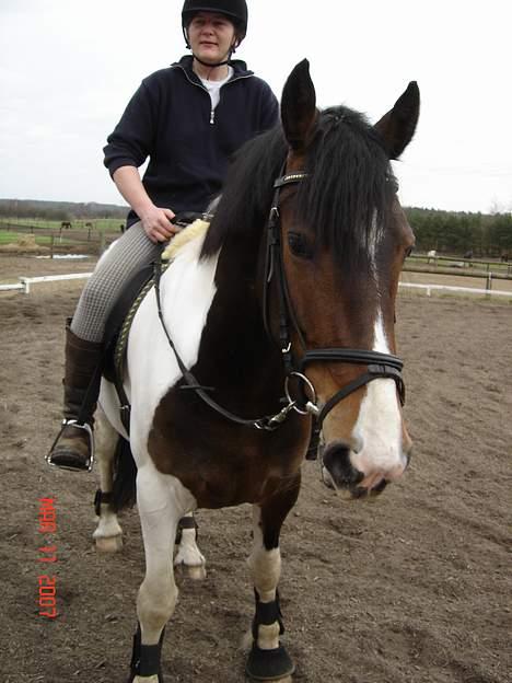 Pinto Athene - Har i noget jeg skal smage?? billede 15