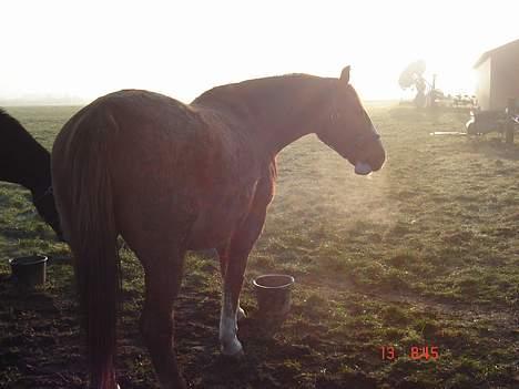 Frederiksborg Mads Ravnkilde billede 12
