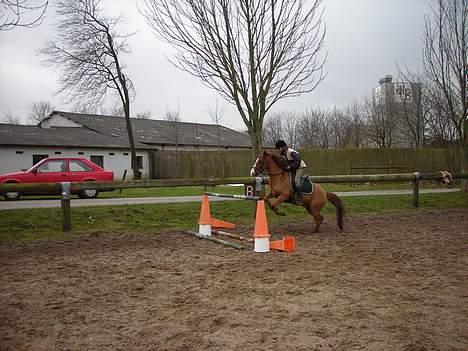 Anden særlig race Ferrari *SOLGT* :'( - Dette billede er lidt over 1 m :D <33 billede 17