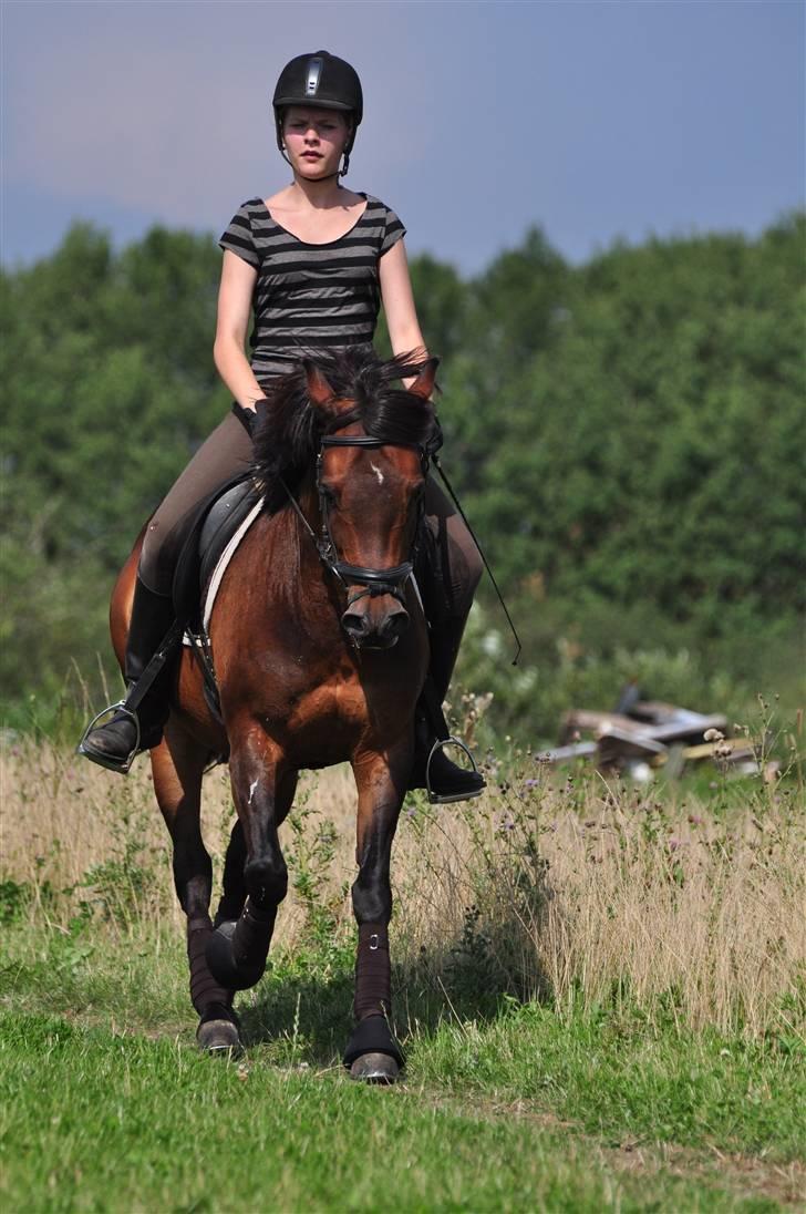 Anden særlig race Simba <3 - 2 - Jeg lovede, at vi skulle få en masse gode oplevelser sammen ! <3 billede 2