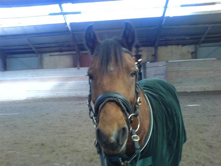 Anden særlig race Filur.(Gamle part):´( - Velkommen til vores profil. billede 1