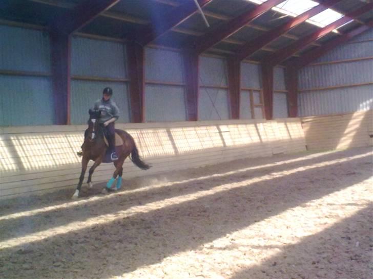 Fuldblod (XX) tatoonie "R.I.P min elskede dreng"<3  billede 6