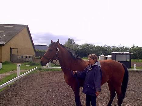 Anden særlig race Fmr´s Sofie (har Passet) billede 1