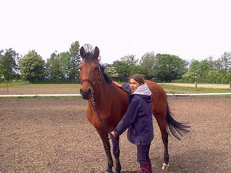 Anden særlig race Fmr´s Sofie (har Passet) billede 4