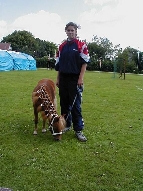 Shetlænder Becca R.I.P :'( - børnedyrskue... jeg vandt......... ps. Cheanne holder mig bare... hihi hun er lidt stor til mig billede 14