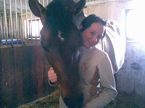 Dansk Varmblod La Bryere - Mig og ham <3 se ham lige .. billede 1