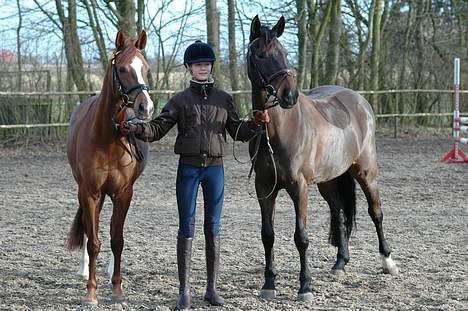 Welsh Pony (sec B) Mayke (Solgt) - Mayke og Shakira. billede 1