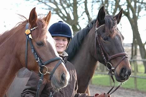 Welsh Pony (sec B) Mayke (Solgt) - Mayke og Shakira. billede 2