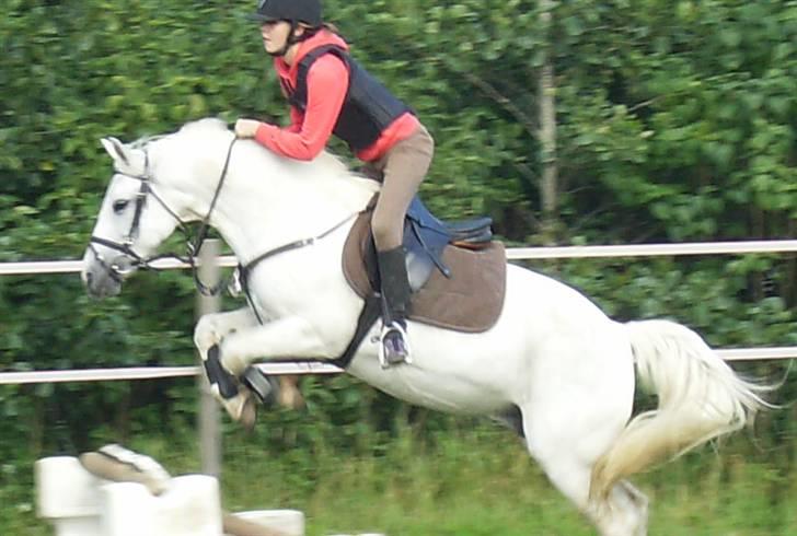 Anden særlig race Snowy *død* 17/11-2009 - Snowy og mig springer wee :D billede 10