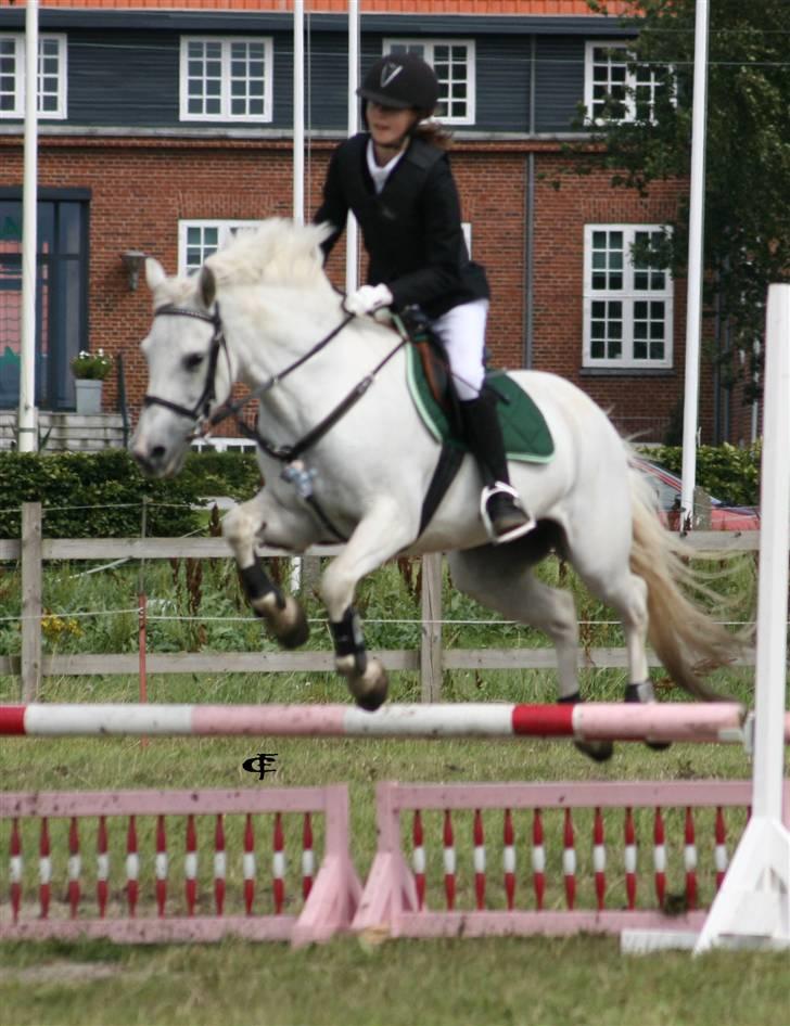Anden særlig race Snowy *død* 17/11-2009 - Hammerum 2007.. Wuhuu fuld fart frem ;) billede 12