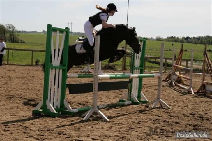 New Forest Zander Kjærgaard - SOLGT! - Hvis jeg havde en enkelt blomst for hver gang jeg tænker om dig, kunne jeg gå evigt i min have.  billede 4