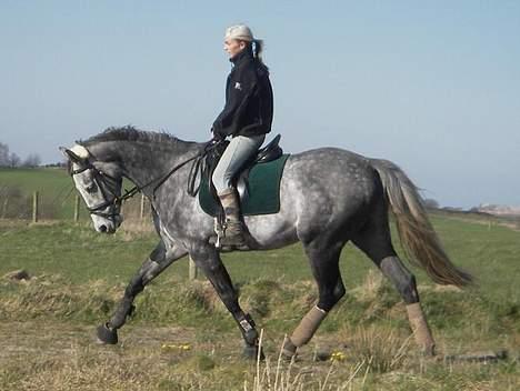 Oldenborg SilverStone billede 3