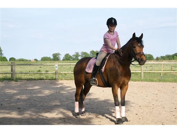 {{currentPhoto.altText}} billede {{currentPhoto.number}}