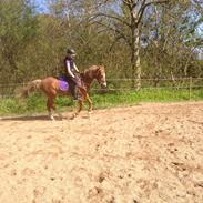 Anden særlig race Magic super Babe