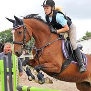 Anden særlig race Wubbi [SOLGT] 