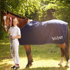 New Forest Remontes Free Fantasy