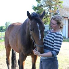 Dansk Varmblod Zacapa