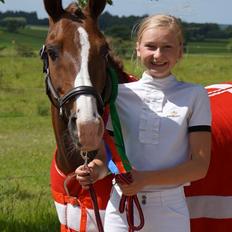 New Forest Koedijks Milano *Låner*