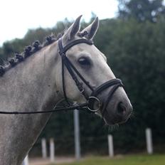 Anden særlig race WHAT A SURPRICE | SP <3