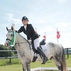 Anden særlig race Armani - B-pony