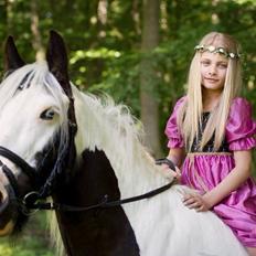 Irish Cob Irish Blue Lady