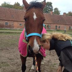 Anden særlig race Ida :-*