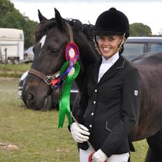 Welsh Cob (sec D) Højsgaard's santos B-PONY