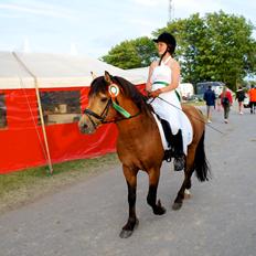 Connemara HOHNHORST JAMIRO