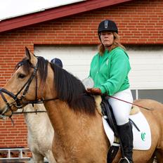 Connemara BREDEMADGÅRDS AICHA