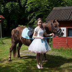 Anden særlig race Diamond Boy (Boy)