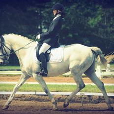 DSP GreenBay Aka. Grønne!