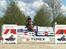 New Forest Flying Ronaldo