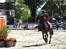 New Forest Flying Ronaldo