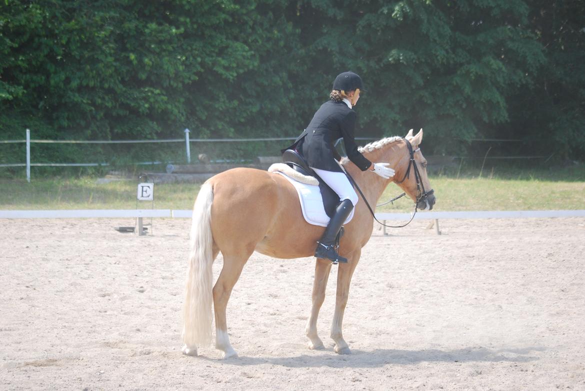 Tysk Sportspony Golden Dream - Stævne i Nyborg rideklub  billede 22
