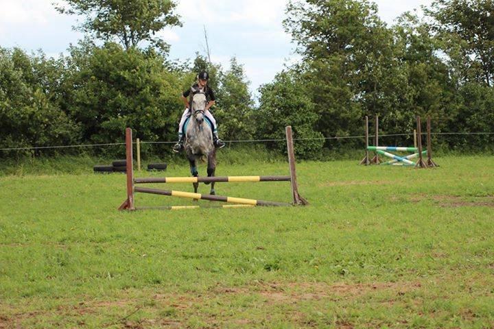 Holstener Camelot org. pap. mgl. - Sommer 13 billede 14