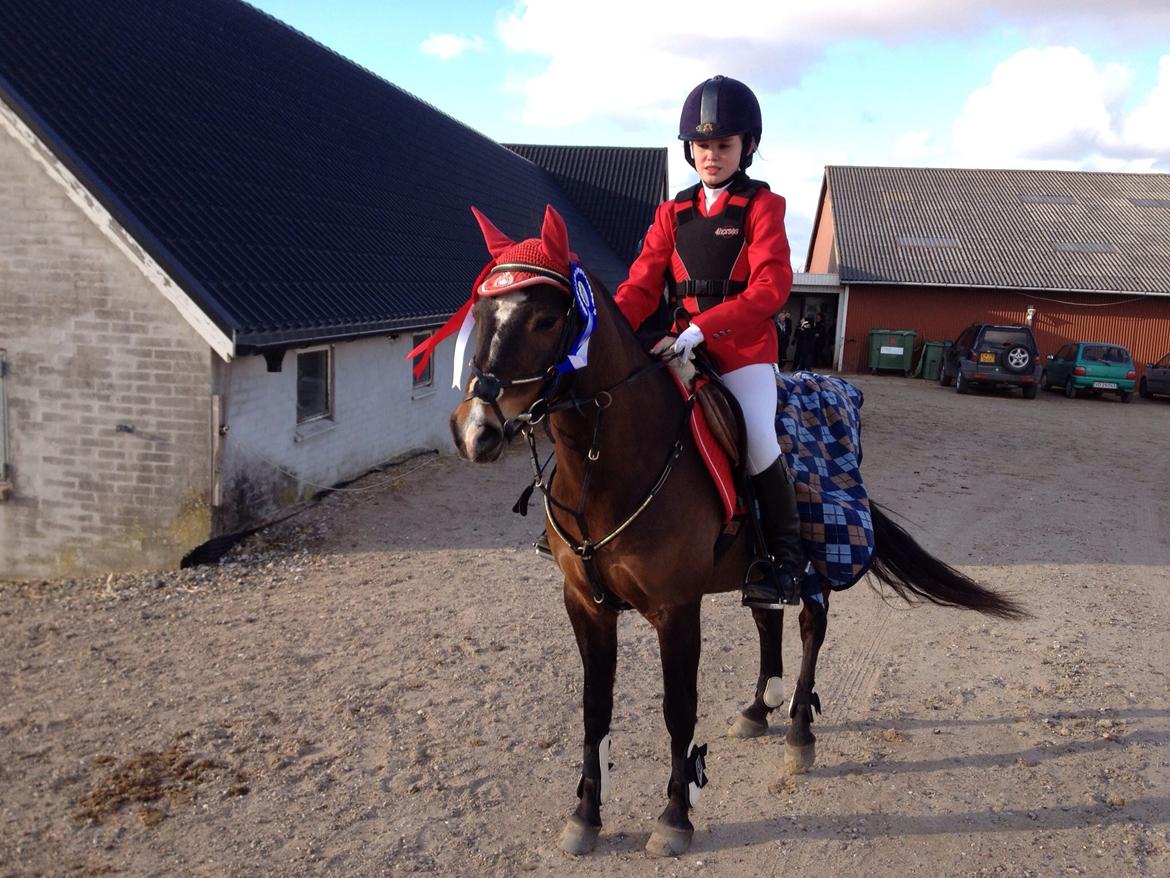 New Forest Milton billede 8