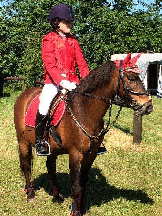 New Forest Milton billede 10