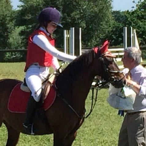 New Forest Milton billede 11