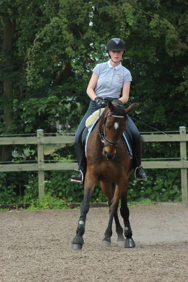 Anden særlig race Dark Stallion - Hjemme igen efter nogle fantastiske måneder på F.U <3       Fotograf: Camilla Steensen. billede 6