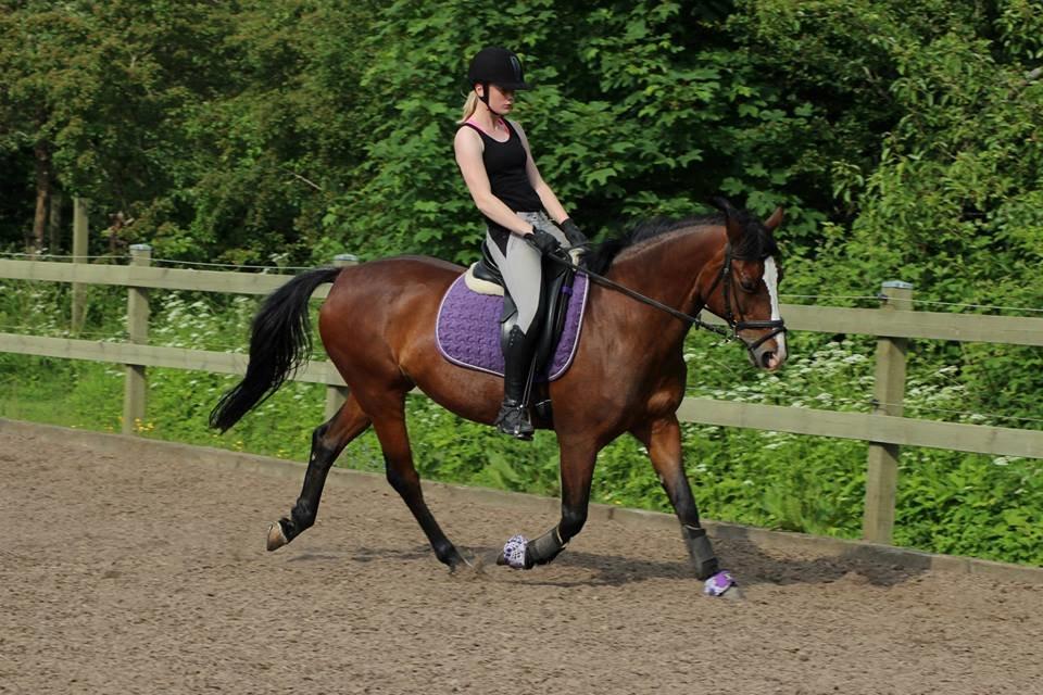 Anden særlig race Maddie billede 26