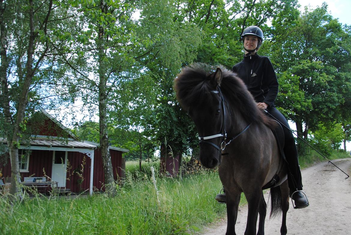 Islænder Gáta fra Grundet Hus - <3 billede 5