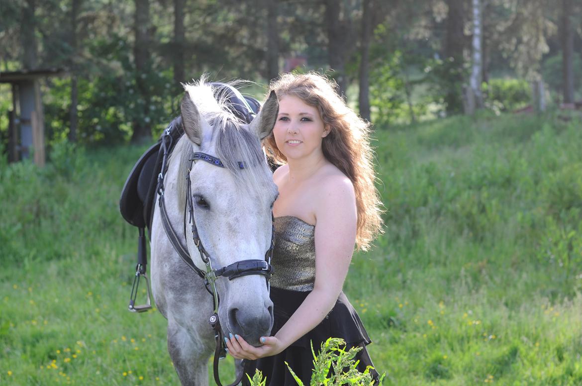 Holstener Colt 45 billede 1