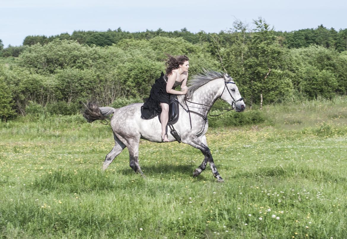 Holstener Colt 45 billede 4