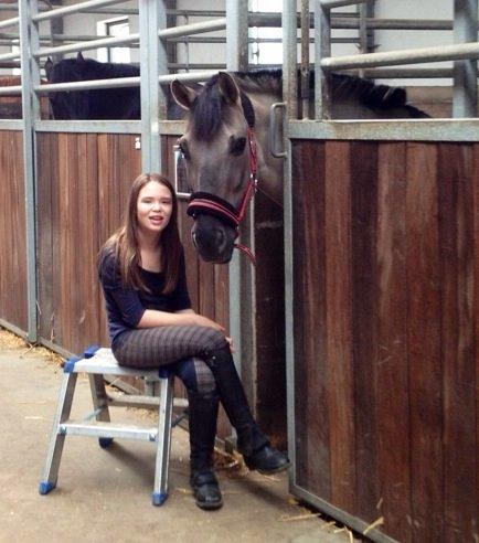 Konik Polski sølvmosegaards gråmand (Lille grå) billede 10