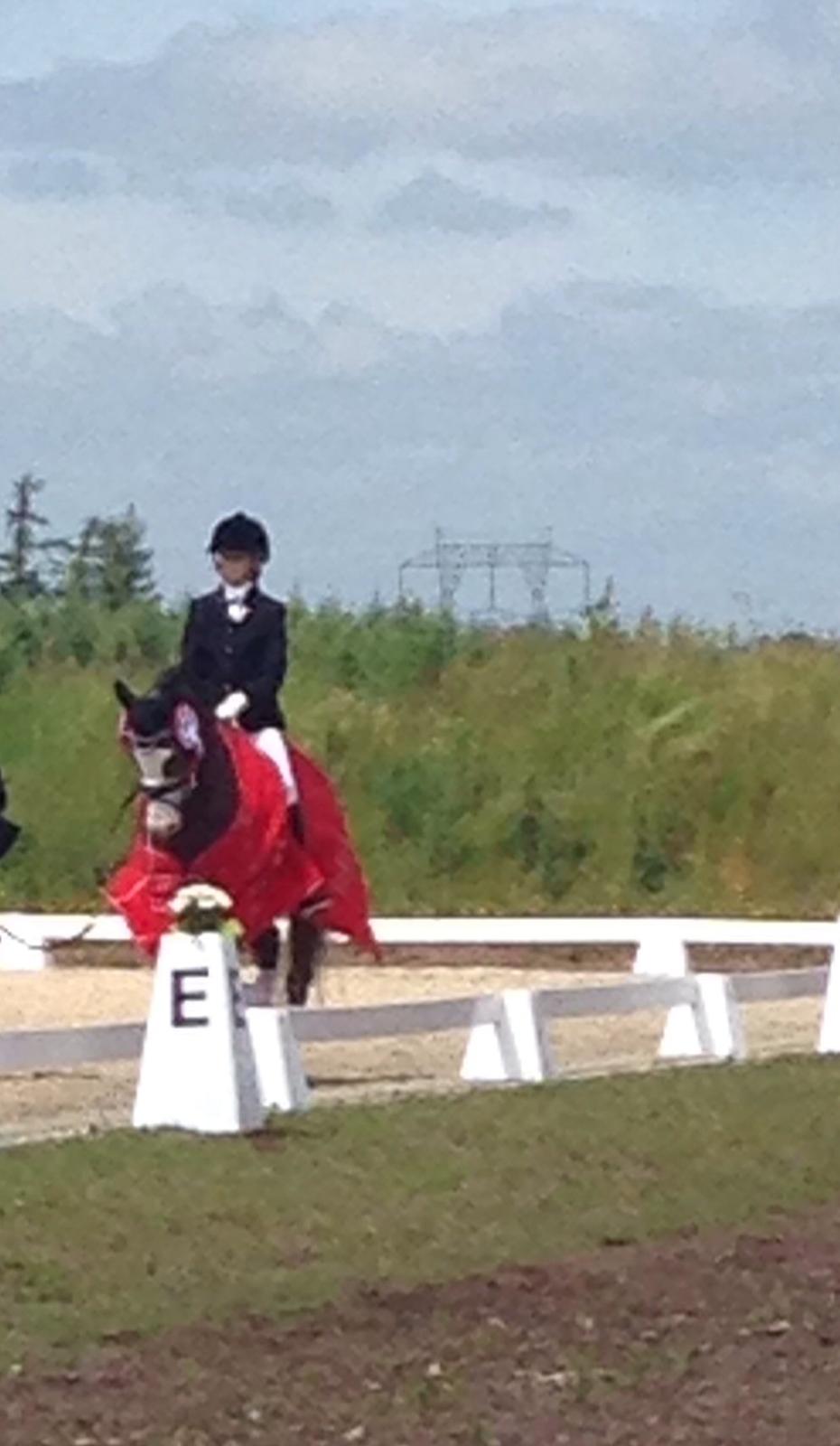 Welsh Pony (sec B) BARNHOEVE´S ARTHUR *A-PONY* billede 37