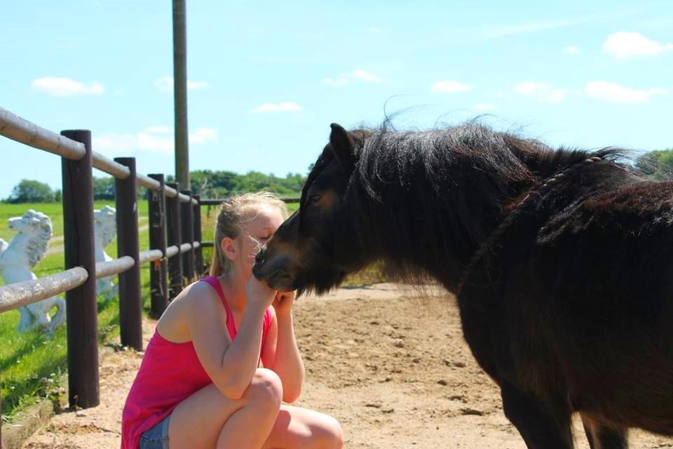 Knabstrupper Gizmo - lille pot - My soulmate <33 - It takes a second to say i love you, but a lifetime to show it billede 37