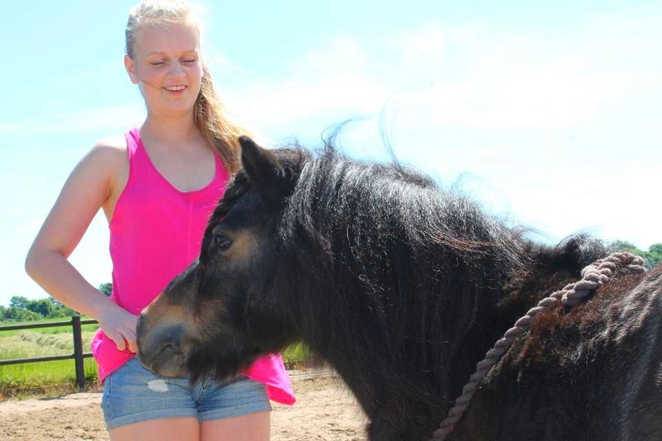 Knabstrupper Gizmo - lille pot - My soulmate <33 billede 16